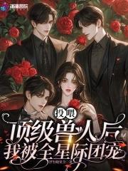 少年情怀总是诗完整版